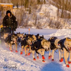 iditarod sled dog booties
